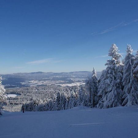Gasthof Alte Post Bischofsmais Zewnętrze zdjęcie