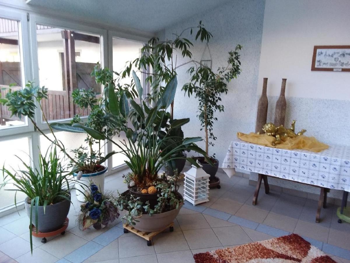 Gasthof Alte Post Bischofsmais Zewnętrze zdjęcie