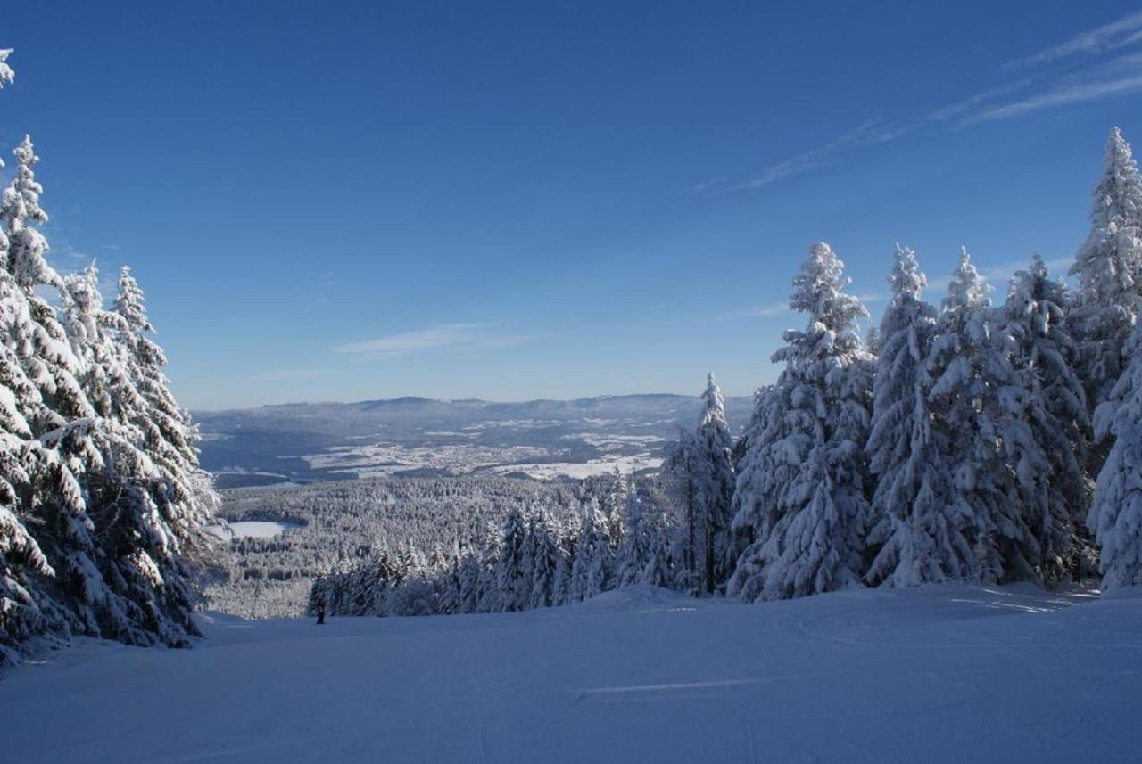 Gasthof Alte Post Bischofsmais Zewnętrze zdjęcie